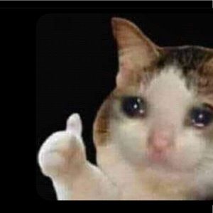 Meet your Posher, Jacqui